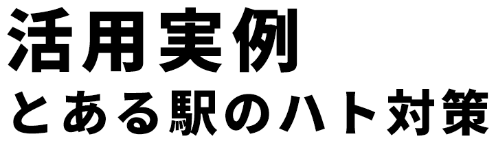 ヒトデでバリア