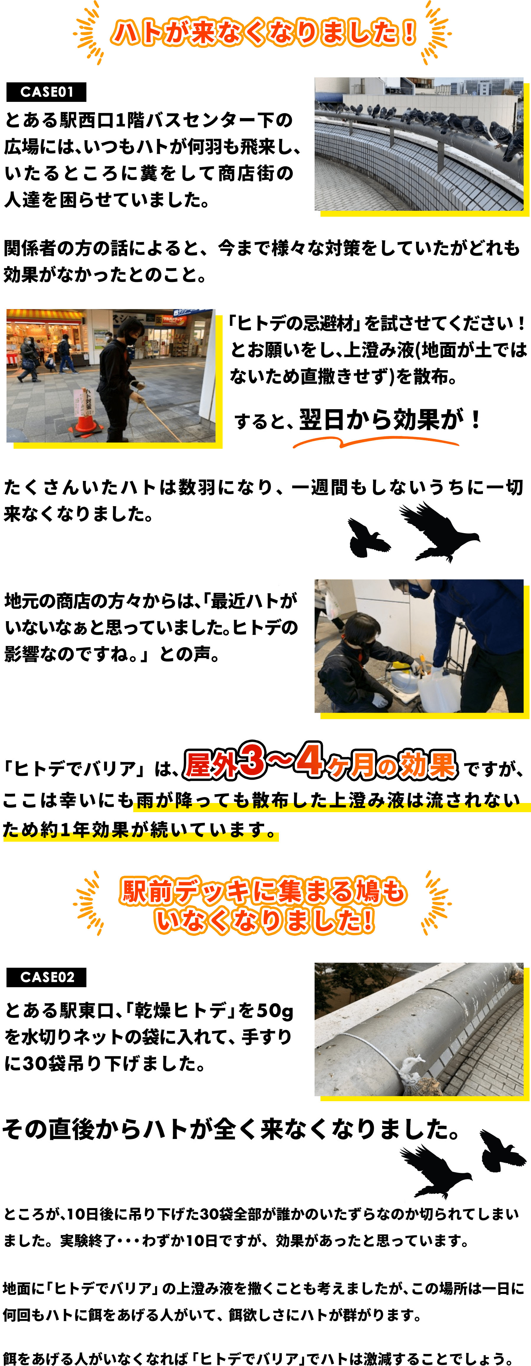 ヒトデでバリア