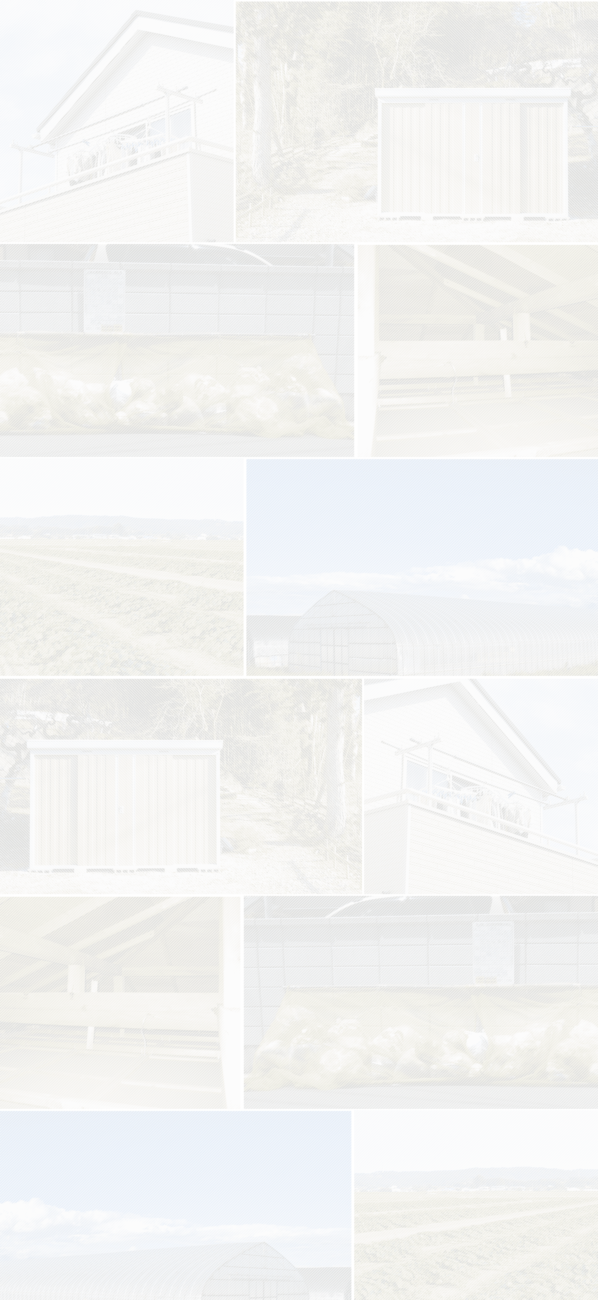 ヒトデでバリア