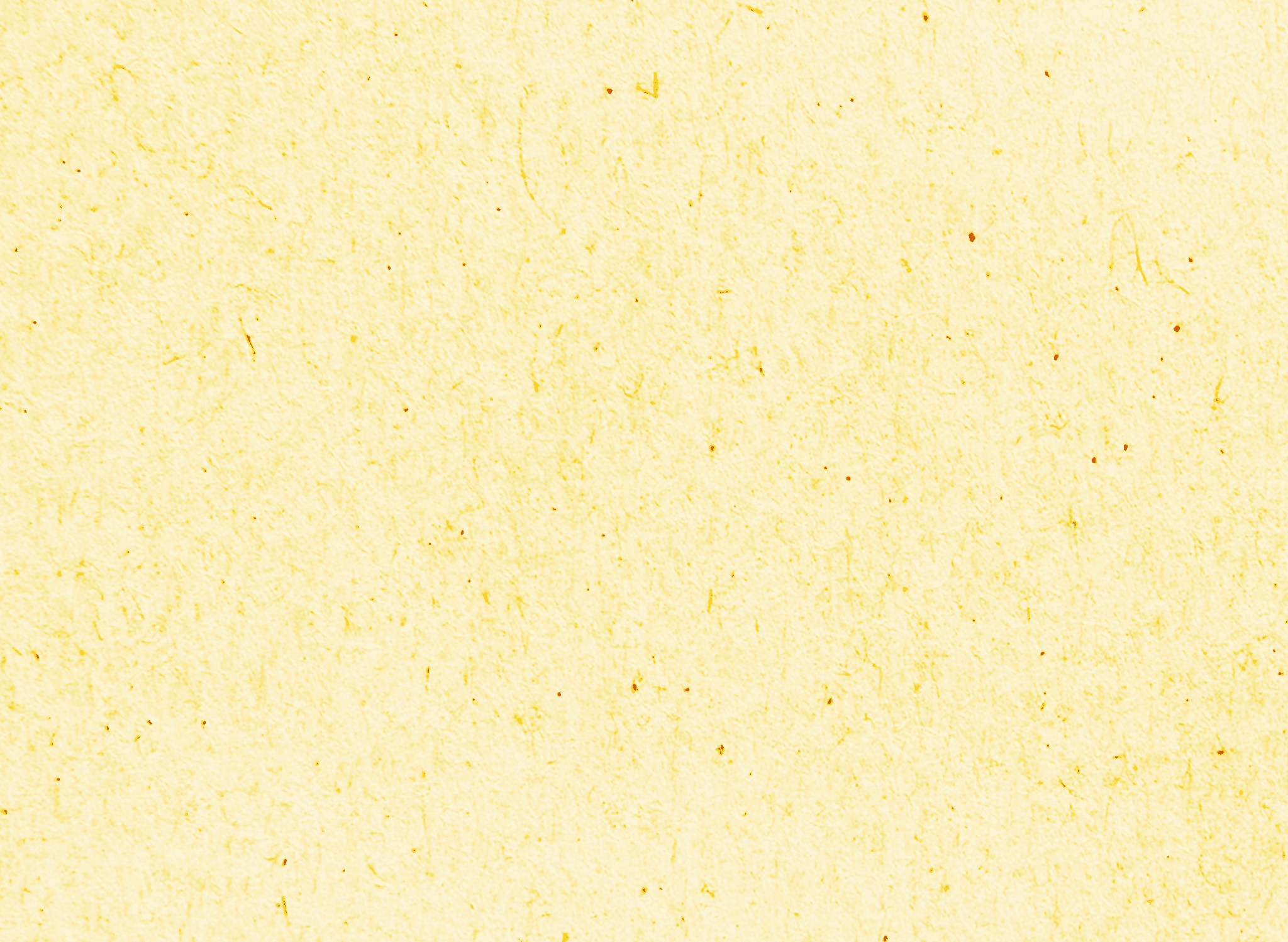 ヒトデでバリア