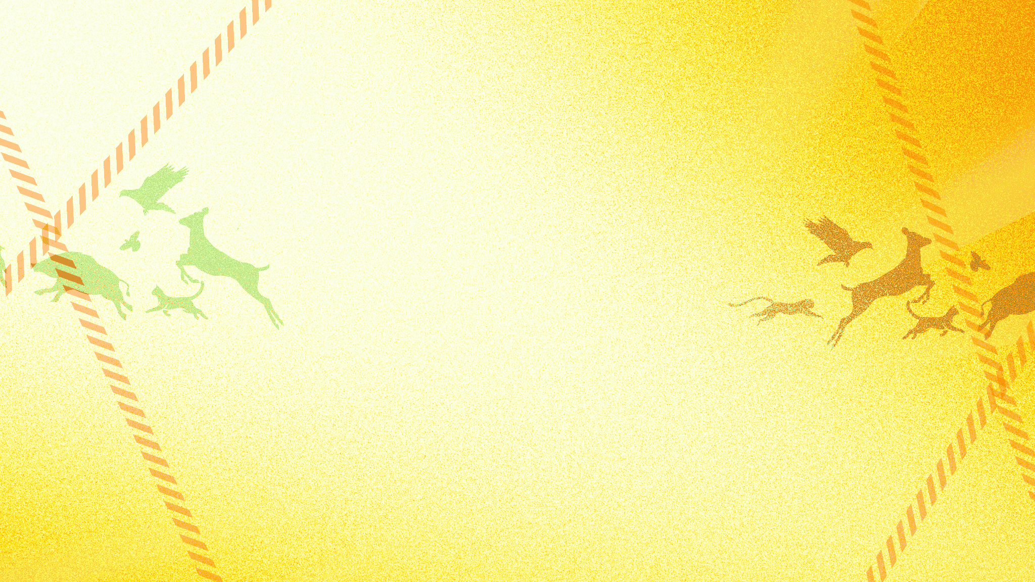 ヒトデでバリア