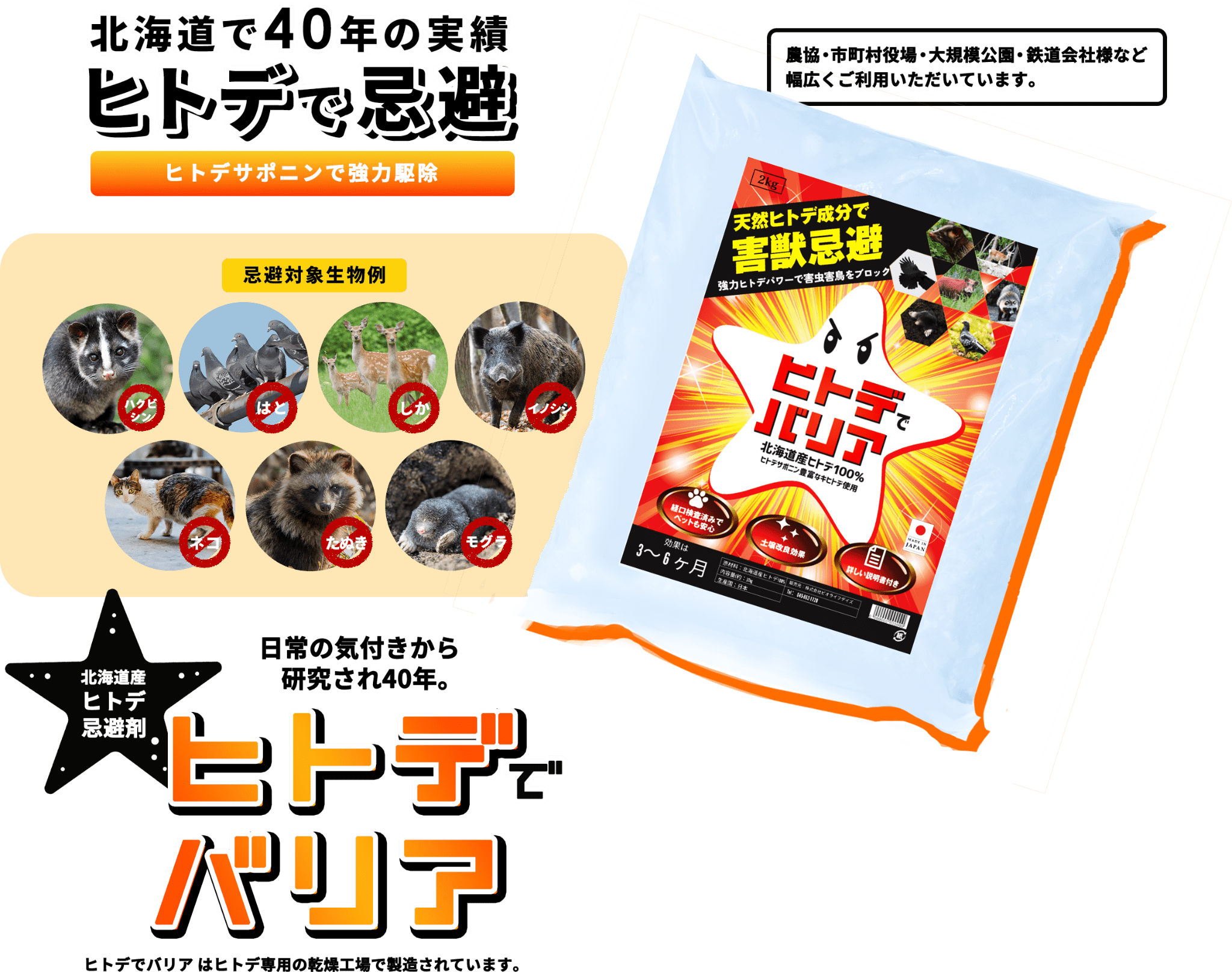 ヒトデでバリア