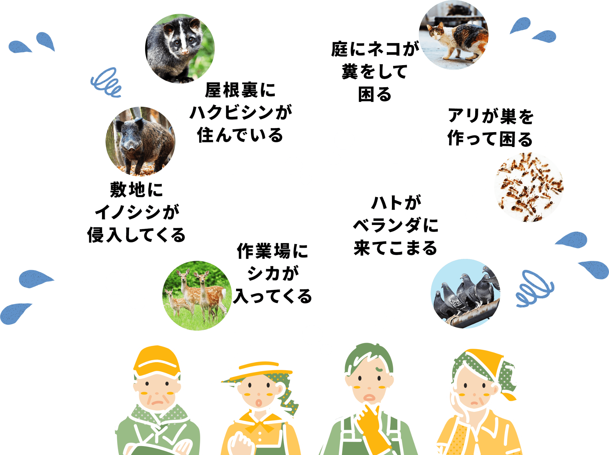 ヒトデでバリア