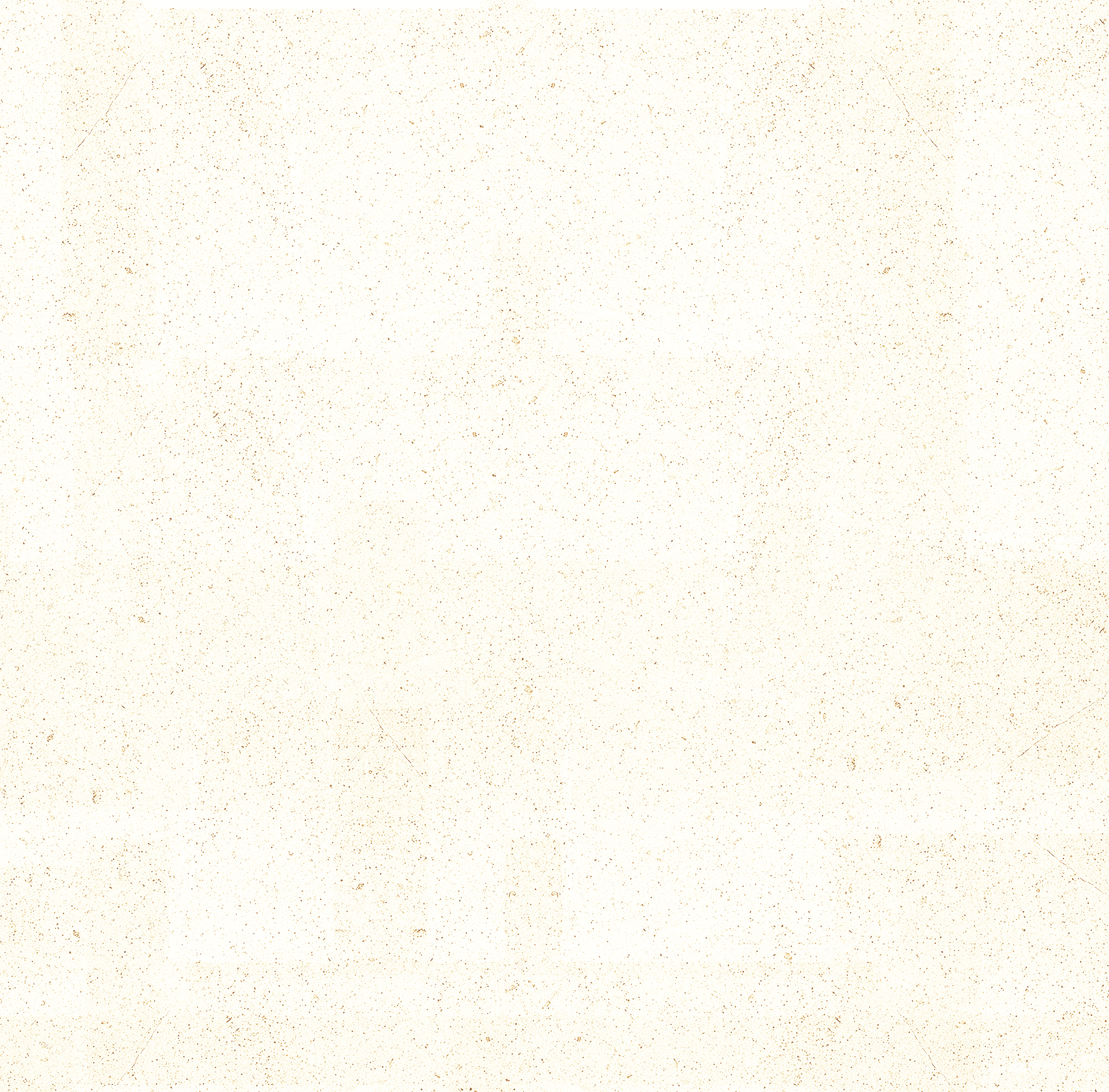 ヒトデでバリア