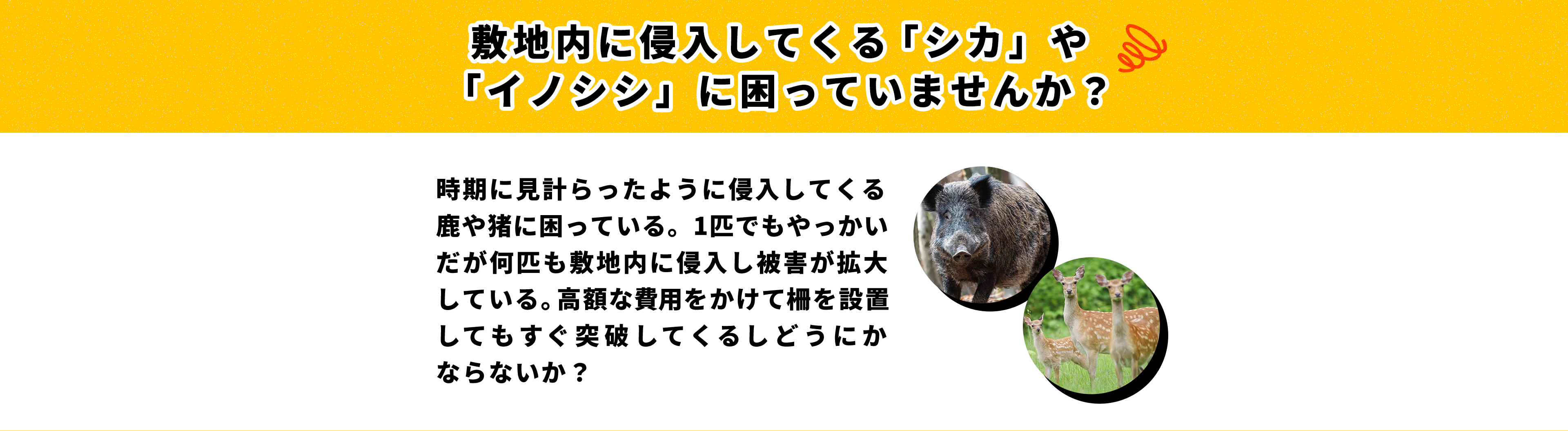 ヒトデでバリア