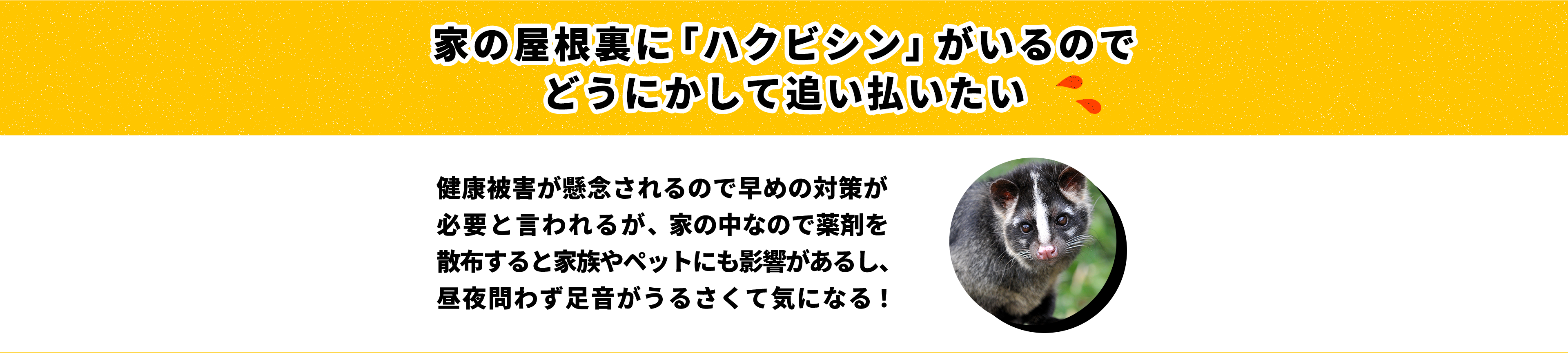 ヒトデでバリア