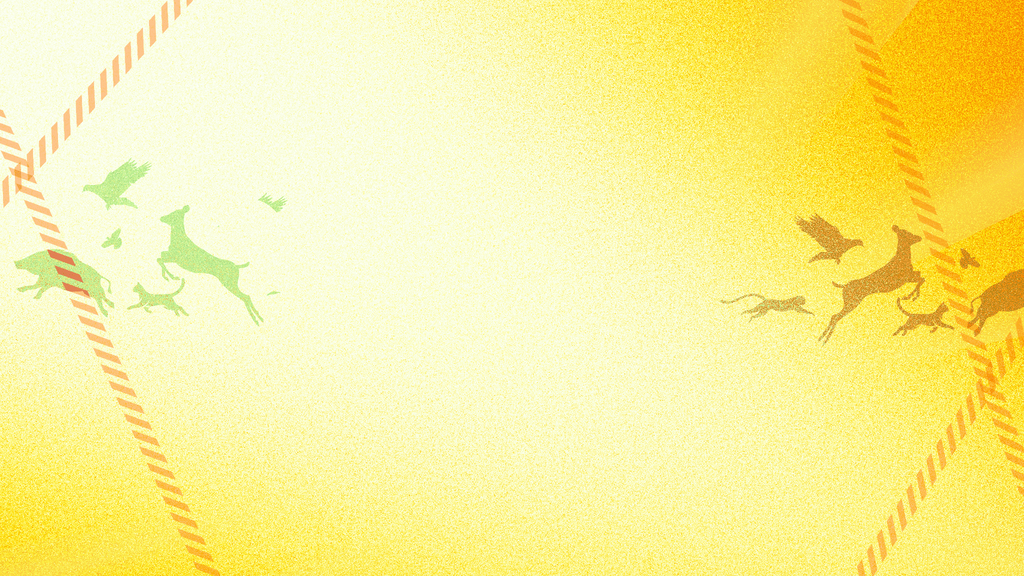 ヒトデでバリア