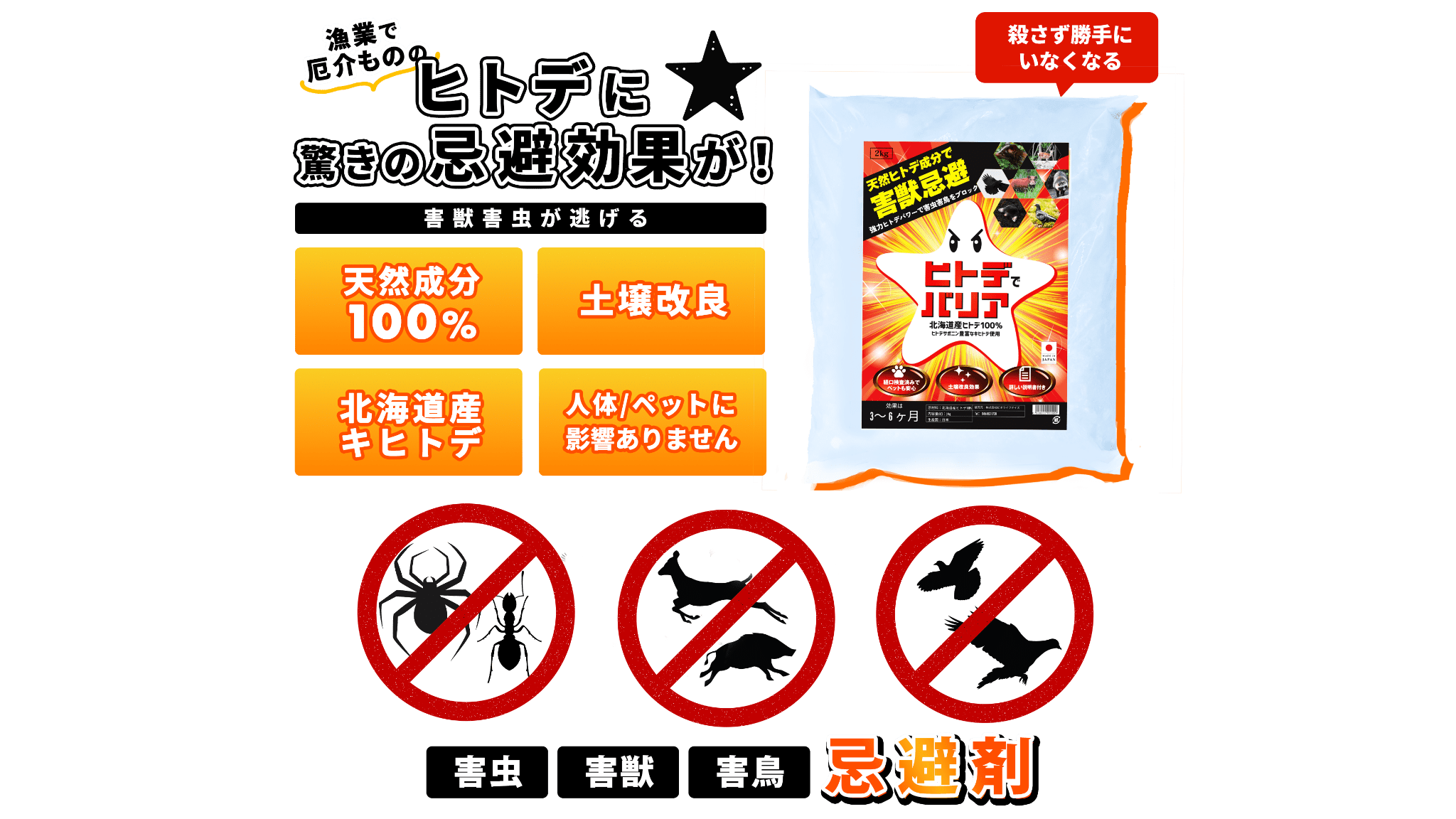 ヒトデでバリア