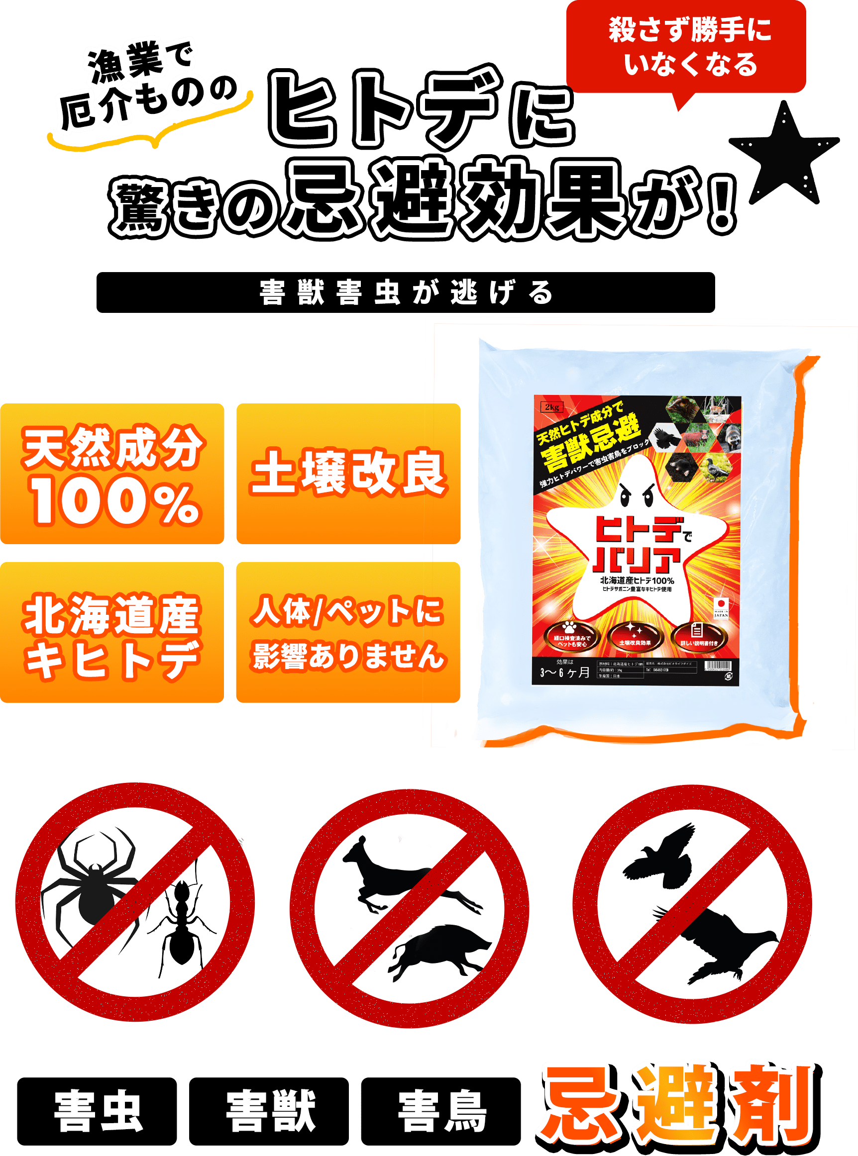 ヒトデでバリア