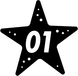 ヒトデでバリア