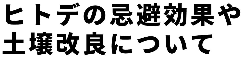 ヒトデでバリア